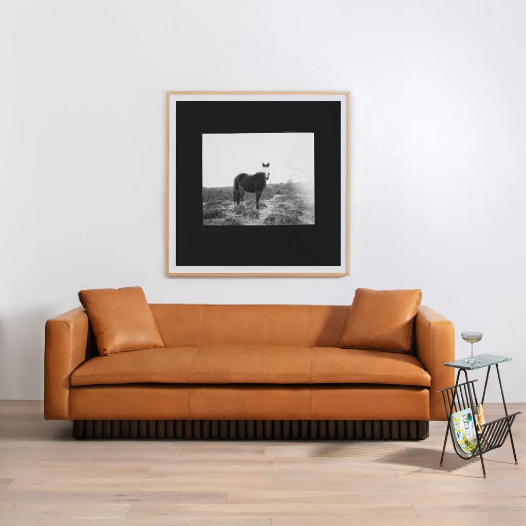 Blank Horse by Annie Spratt - Image 3