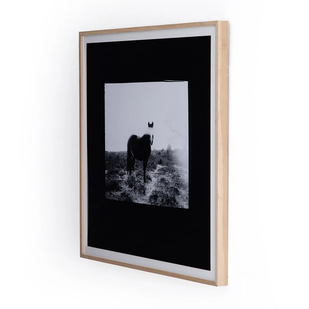 Blank Horse by Annie Spratt - Image 4